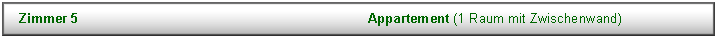 Textfeld: Zimmer 5									Appartement (1 Raum mit Zwischenwand)